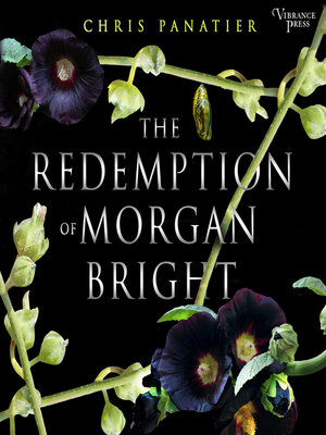 The Redemption of Morgan Bright - Audiobook